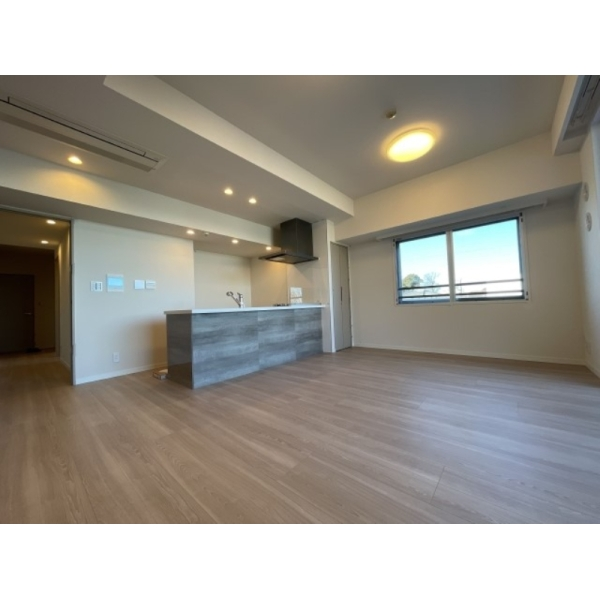 ピアースコード等々力 LDK　約14.8畳