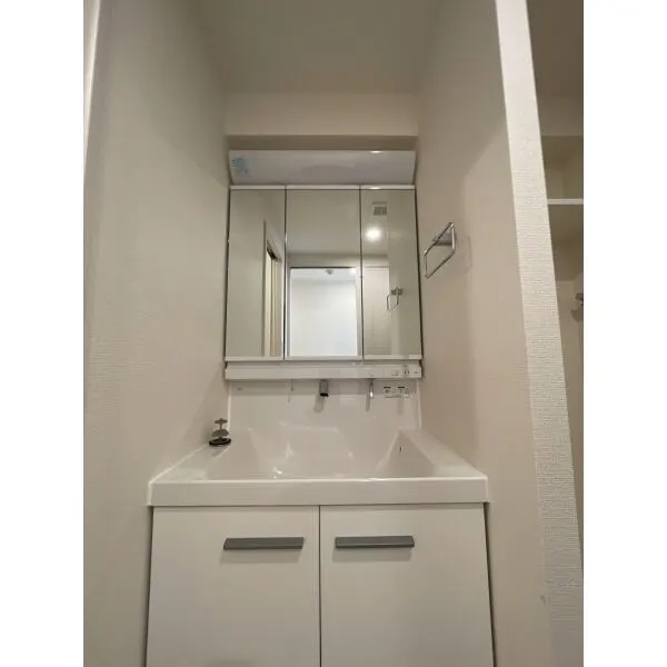 ル・リオン錦糸町エグゼ 洗面室