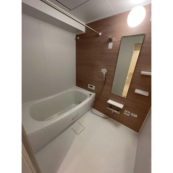 ル・リオン錦糸町エグゼ 浴室