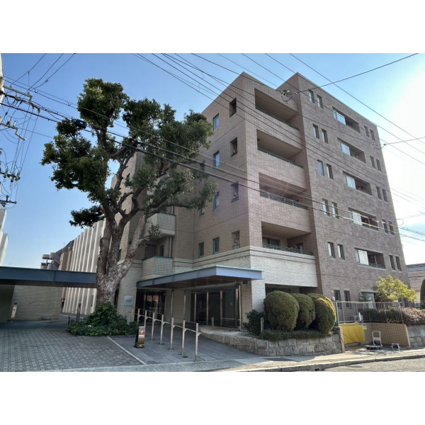 ディアエスタミオ住吉壱番館 外観