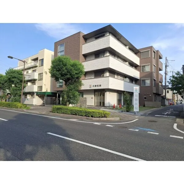 与野ハウス2号棟 川勝医院(病院)まで約410m(徒歩6分)