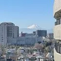 プラウド板橋区役所前 眺望：ズームあり