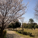 さいたま市北区宮原町２丁目 東宮原ぼうさい広場（公園）まで約300m（徒歩4分）