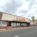 高津スカイハイツ ライフ高津新作店（スーパー）まで約240m（徒歩3分）