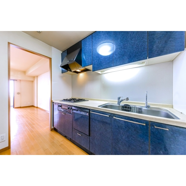 マイキャッスル港北ヒルズ その他画像