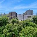 九条住宅B号棟 バルコニーからの眺望