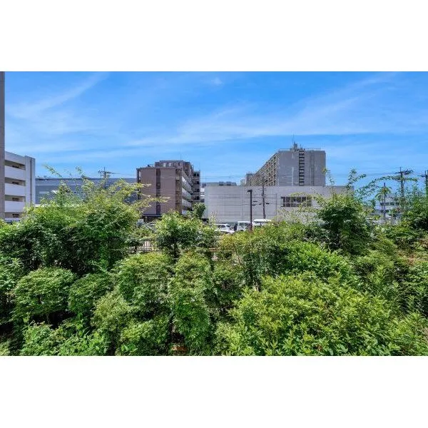 九条住宅B号棟 バルコニーからの眺望