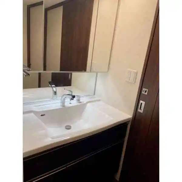 プレサンスグラン栄ＴＨＥ　ＴＯＷＥＲ 洗面室