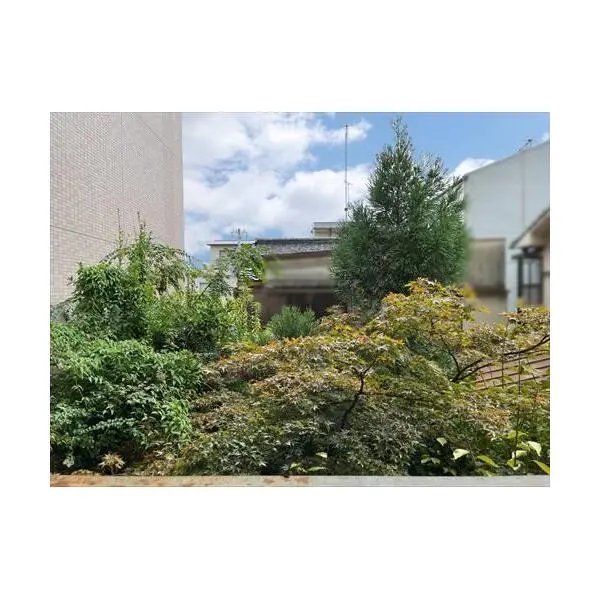 京都市下京区西七条南東野町 その他画像