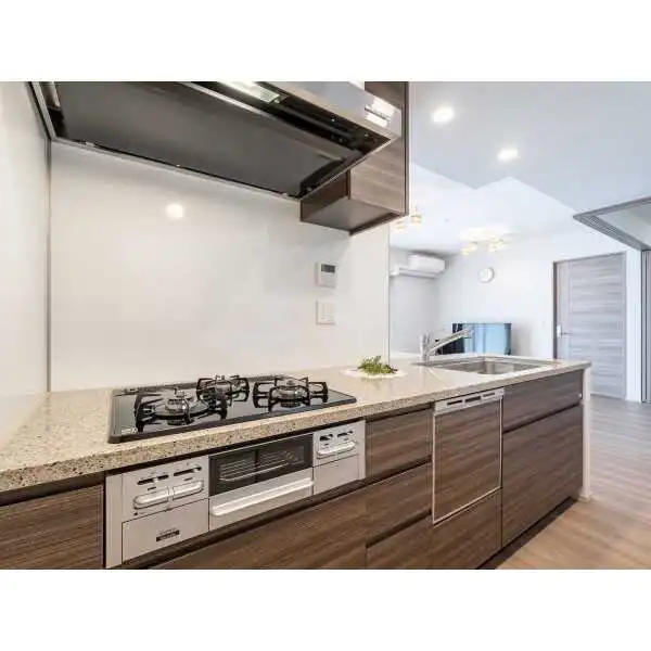 グレーシアタワーズ海老名イースト その他画像