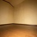 綾瀬市深谷上２丁目 2階南東側洋室（小屋裏収納）