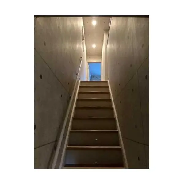 向日市寺戸町飛龍 その他画像