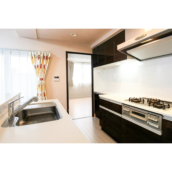 ライオンズ柏たなかステーションプラザ その他画像