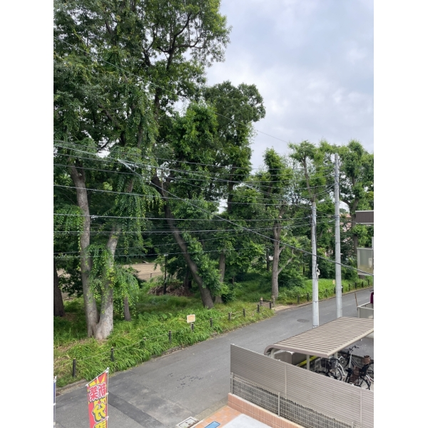 府中市四谷４丁目 四谷自然樹林（公園）まで約5m（徒歩1分）