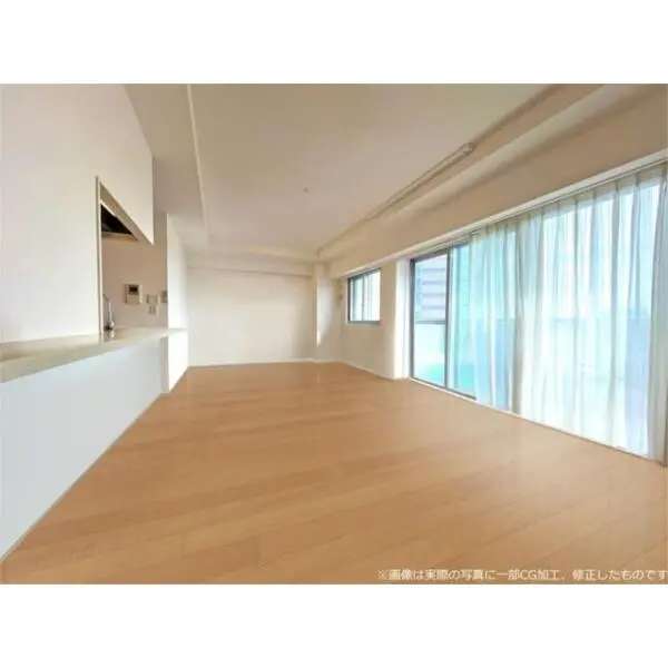 ブリリアタワー川崎 その他画像