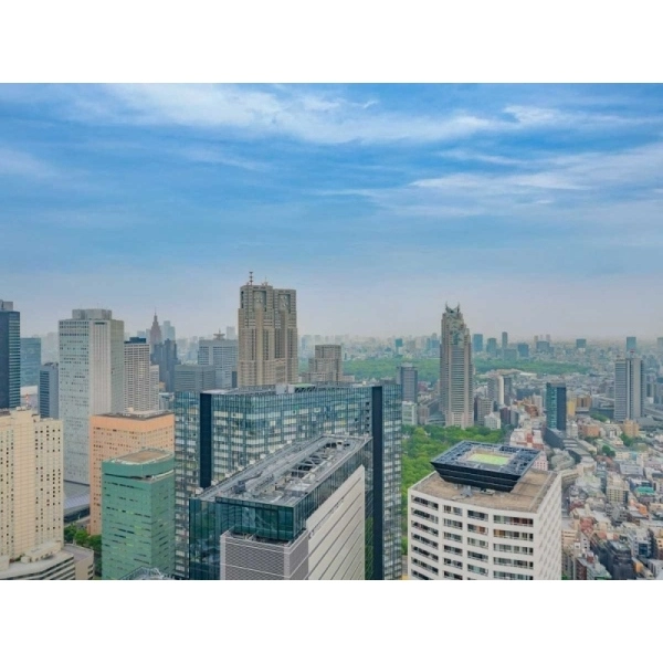 ザ・パークハウス西新宿タワー６０ その他画像