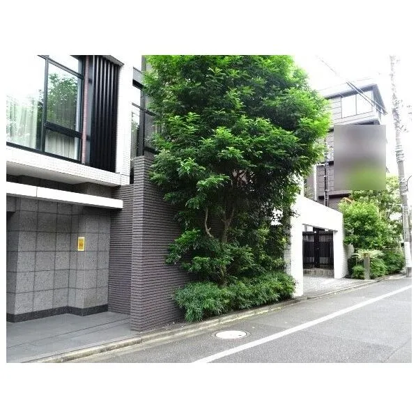 プレミアスイート外苑の杜 植栽