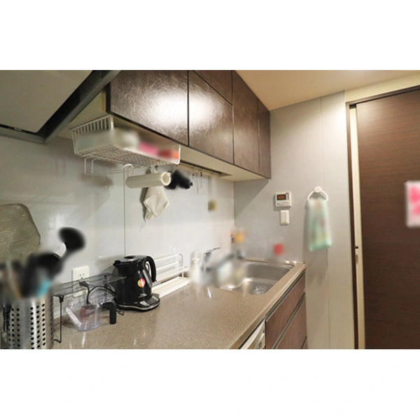 ライオンズ武蔵境レジデンス その他画像