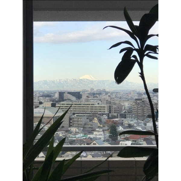 グラーサ渋谷松濤 その他画像
