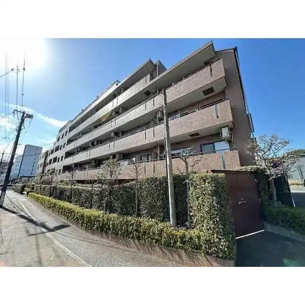 藤和シティコープ江田 その他画像