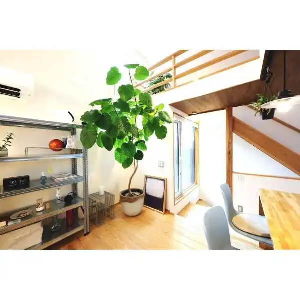 小平市小川町２丁目 その他画像