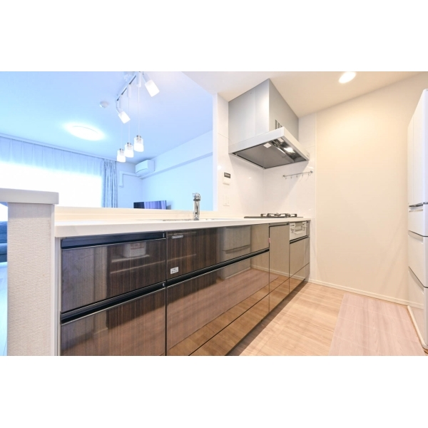 シティテラス府中緑町 その他画像