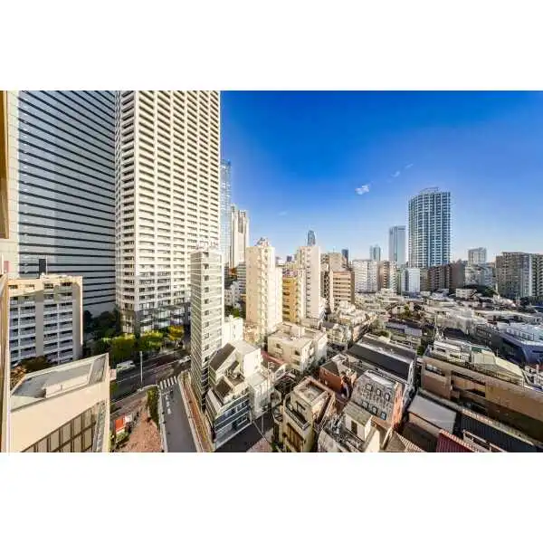 パークタワー西新宿 その他画像