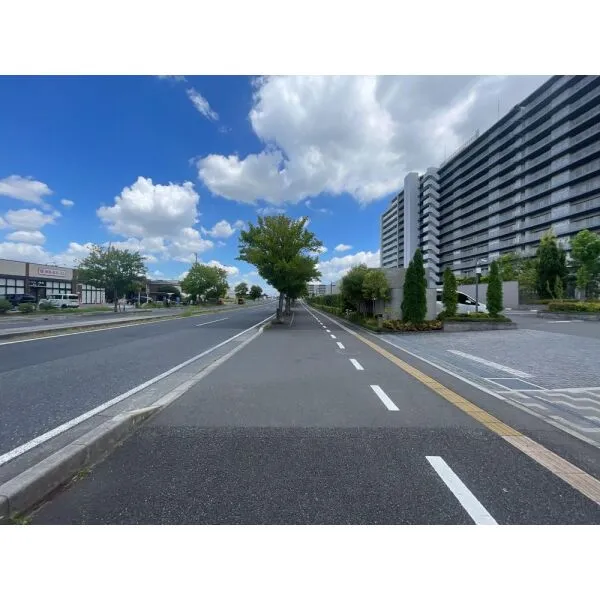 ウエリス浦和美園ノーステラス 前面道路