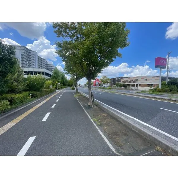 ウエリス浦和美園ノーステラス 前面道路