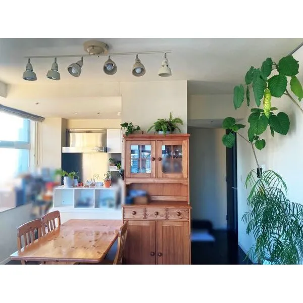 ＴＯＫＹＯ　ＳＥＡ　ＳＯＵＴＨ　ブランファーレ その他画像