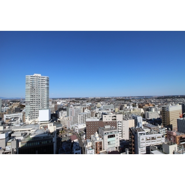 ライオンズタワー柏 その他画像