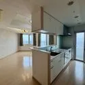 上本町ヒルズマーク LDK(撮影年月：2026年01月)