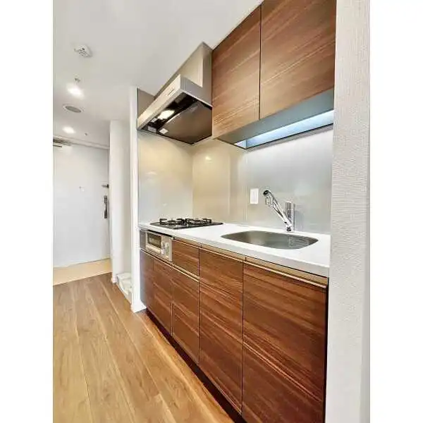 パークタワー勝どきミッド その他画像