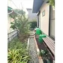 藤沢市鵠沼松が岡３丁目 庭(2)