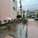 ダイアパレス錦糸町第２ 平置きの駐輪場