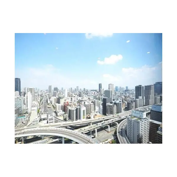 ジオタワー堺筋本町 その他画像