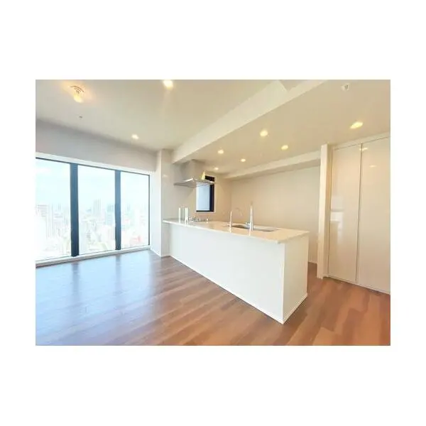 ジオタワー堺筋本町 その他画像