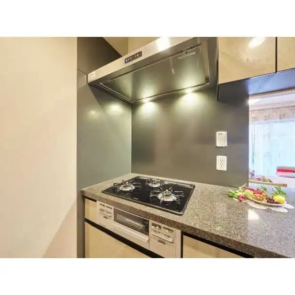 ヴィークグラン世田谷千歳船橋さくらガーデン その他画像