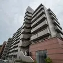 サーパス津田沼 １９９５年築総戸数８１戸