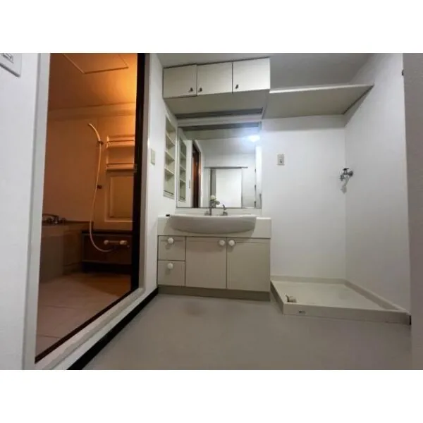 ファミール北大阪リンクス 洗面台・洗面所