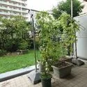 スターコート豊洲 テラスと専用庭を合わせて約48.95m2のゆとりあるプライベート空間。