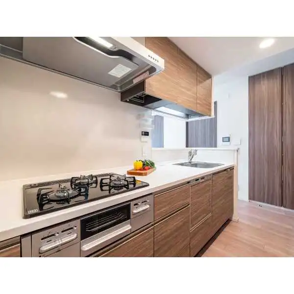 ザ・パークハウス相模大野 その他画像