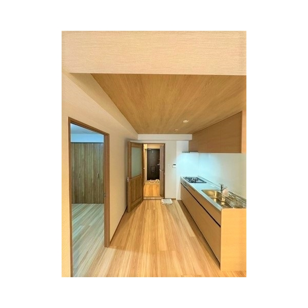 ライオンズマンション志村三丁目 その他画像