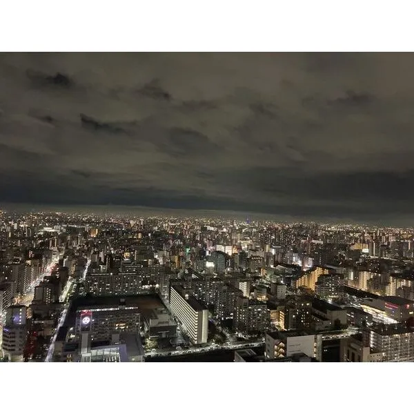 ブリリアタワー東京(Brillia Tower … 【眺望】夜景Ver.