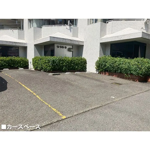 しらかばポイント1 その他