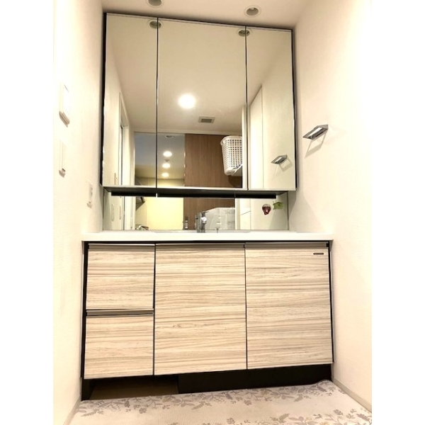 ガーラ・レジデンス戸田公園セントラルスクエア その他画像