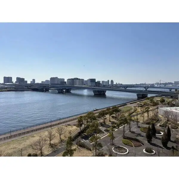 ザ・パークハウス晴海タワーズティアロレジデンス その他画像