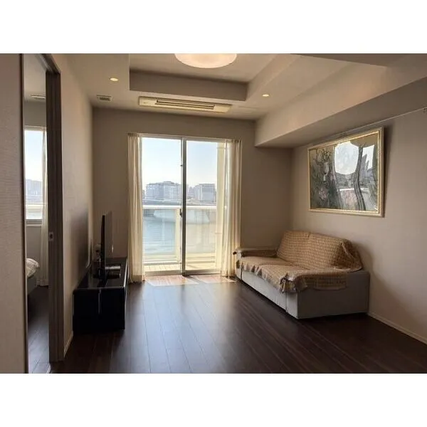 ザ・パークハウス晴海タワーズティアロレジデンス その他画像