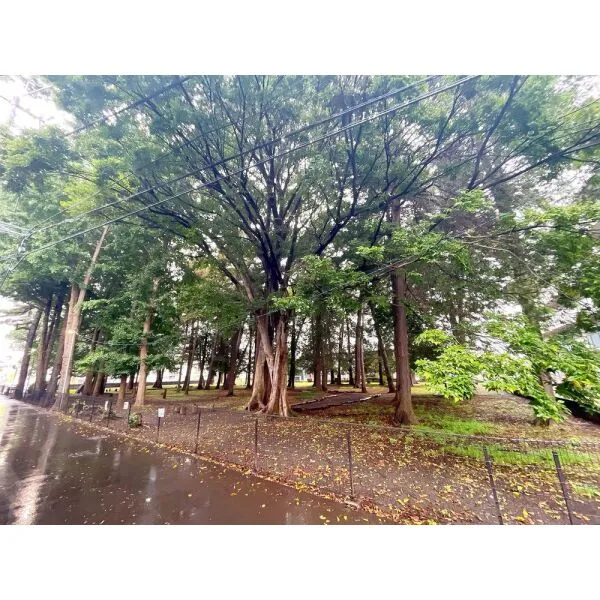相模原市南区大野台3丁目 大野台2森林公園(公園)まで約240m(徒歩3分)