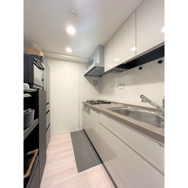 リビオレゾン八王子レジデンス その他画像